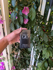 Giorgio Armani Acqua Di Gio Profumo Parfum Marine (MESSAGE BEFORE BUYING)