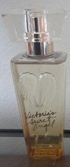 Victoria’s Secret Angel Gold Set