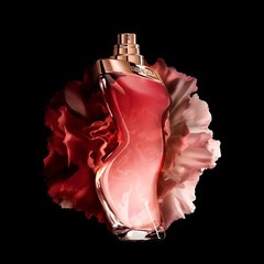 Dance Midnight Muse 2.7 Fl Oz Women’s Fragrance Floral Sweet Musk Notes