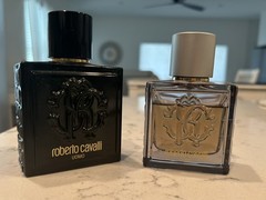 Roberto Cavalli Uomo 3.4 & Roberto Cavalli Uomo Silver 2.0 (both Discontinued)