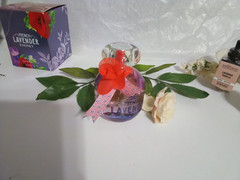 Bath & Body Works FRENCH LAVENDER & HONEY Eau De Parfum EDP 3.4 oz & Wallflower