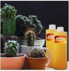 Egyptian Musk Fragrance Oil for DIY Soap Making – 10 Fl Oz