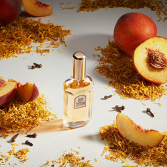 STETSON Lady Stetson – Perfume for Women – Feminine, Fierce, Woody, and Heady Sc