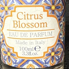 Rudy Profumi ITALY Citrus Blossom EDP Perfume 3.3Oz ~ Smells Like NEST Orange