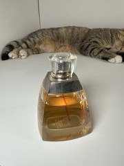 Vera Wang Sheer Veil 100ml Eau De Parfum 3.4oz Rare Discontinued Custom Design