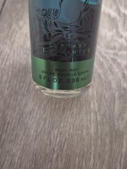Wicked For Good Elphaba Enchanted by Ariana Grande Body Mist, 8 Fl Oz NEW