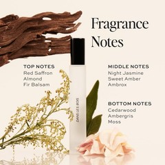 DIME Beauty Dans Les Bois Perfume for Women – 0.34 Fl Oz (Pack of 1), Clear