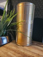 Male fragrance Jean Paul Gaultier Le Male Elixir Absolu