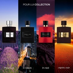 Mauboussin – Pour Lui In Black 100ml (3.3 Fl Oz) 3.3 Oz (Pack of 1),
