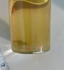 VTG 1970s Jovan MUSK OIL Light Cologne Splash HUGE 8Oz 237ml ORIGINAL Formula
