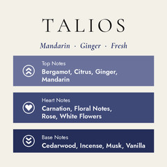 Mad Talios Unisex Eau de Parfum 100ml Citrus Ginger Woody Fresh Long Lasting