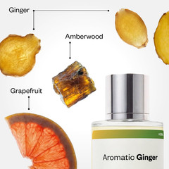 Dossier – Aromatic Ginger – Eau de Parfum – Inspired by L’Immensité – Long-Lasti