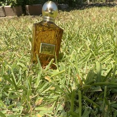 Avon Citrine Amber Perfume Sample Size 0.2 fl oz Fluid, Amber Citrus Scent