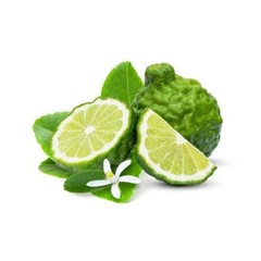 ISO E SUPER+Ice Lime Perfume by OLFX MOUNTAIN_ICE fragrance 50 ml / 1.7 fl. oz.