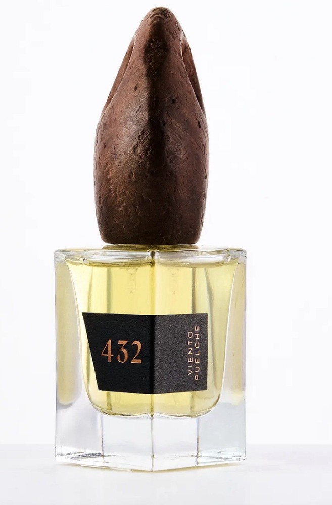 VIENTO PUELCHE 30ML WILD BOTANIC FROM PATAGONIA CHILE. NICHE PERFUME USA SELLER