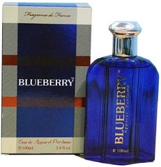 St. Louis Blueberry perfume Eau de Parfum – 100 ML (For Men & Women)