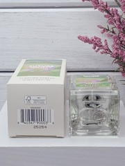 FUTURE SOCIETY Floating Forest Perfume – Eau de Parfum 1.6 fl oz NEW in BOX